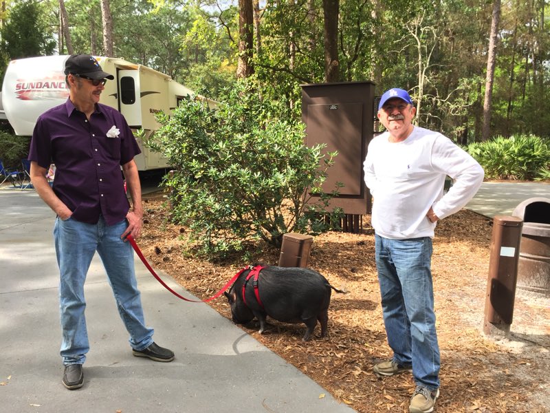 We met a guy walking his pet pig. Yes, a pot-bellied pig. On a leash. WHAT?!